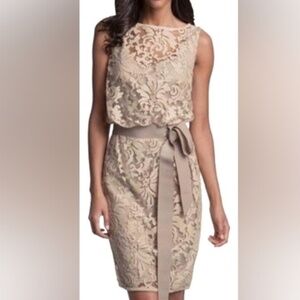 Tadashi Shoji Lace Overlay Dress in Sand, 14